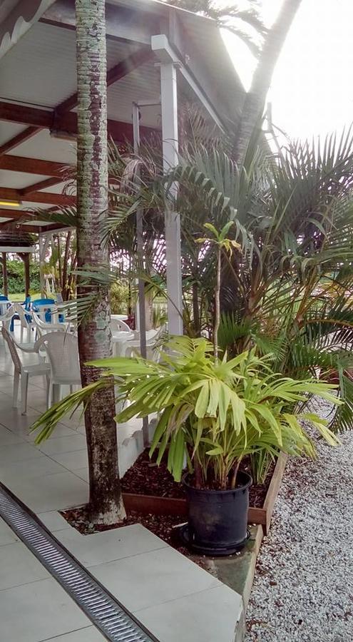 Hotel Des Amandiers Cayenne Bagian luar foto