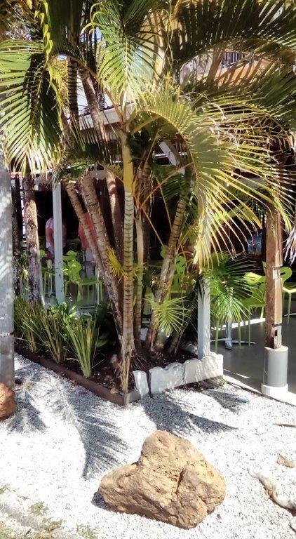 Hotel Des Amandiers Cayenne Bagian luar foto
